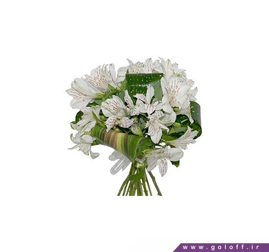خرید گل برای پدر - دسته گل روز پدر ویتالیا - Vitalia | گل آف